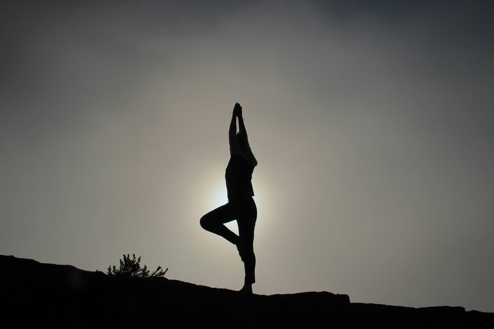 Saturday Morning Yoga